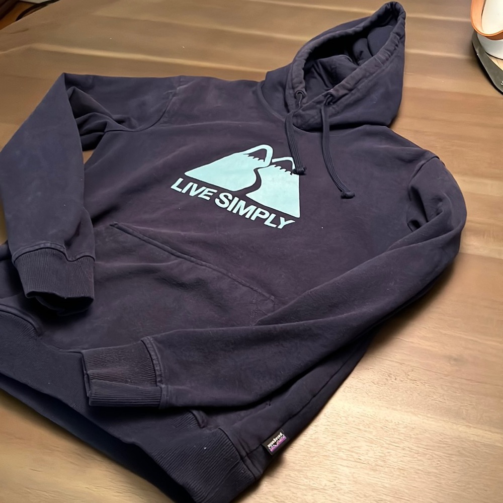 Patagonia Navy Hoodie